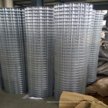 3/4"inch galvanized welded welded mesh small mesh wire mesh